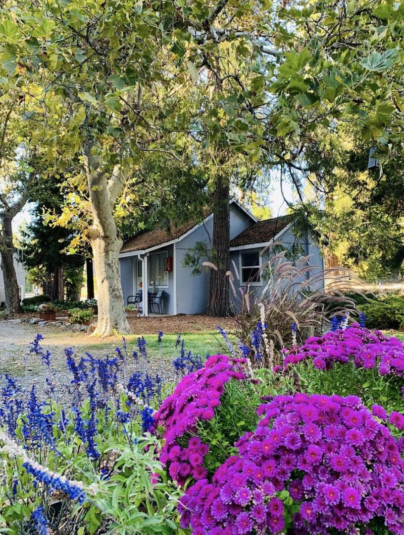 The Pines Motel And Cottages image