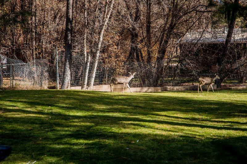 Ruidoso Lodge Cabins image
