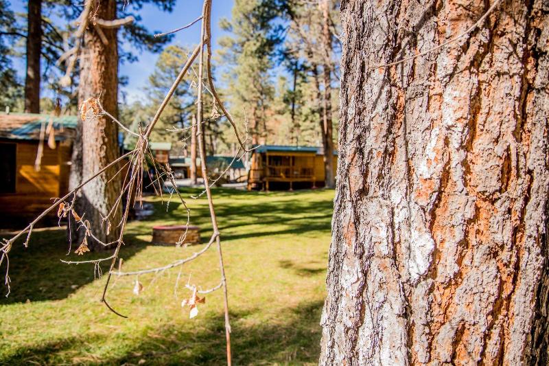 Ruidoso Lodge Cabins image