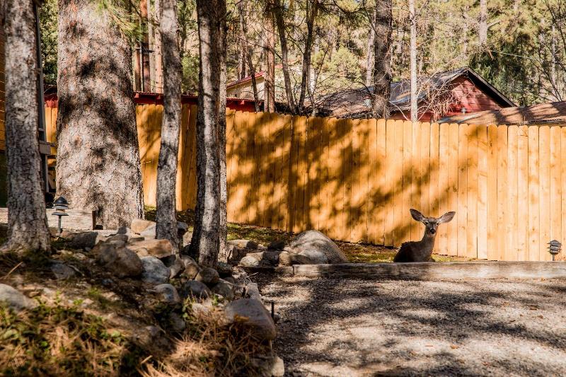 Ruidoso Lodge Cabins image