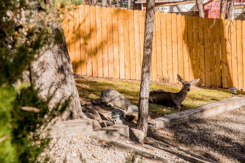 Ruidoso Lodge Cabins image