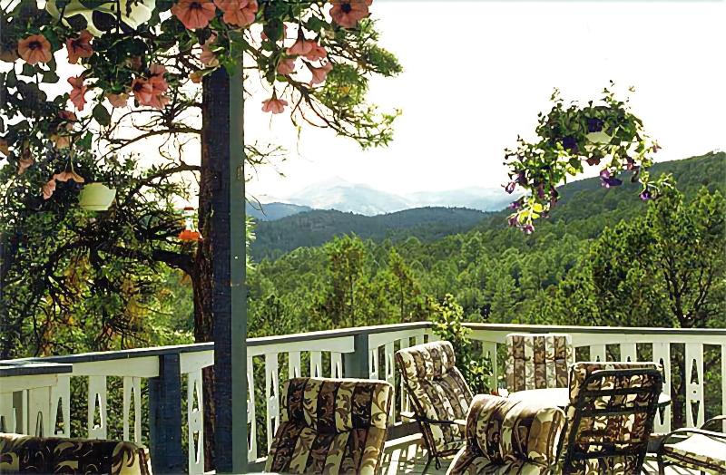 Swiss Chalet Inn image