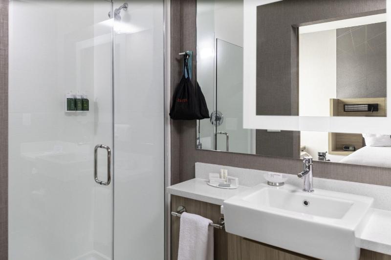 Springhill Suites By Marriott Suwanee Johns Creek image