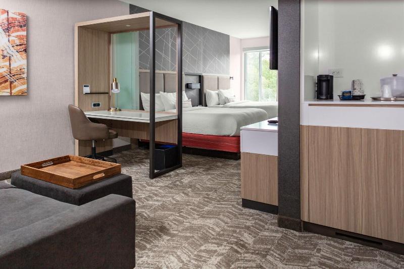 Springhill Suites By Marriott Suwanee Johns Creek image