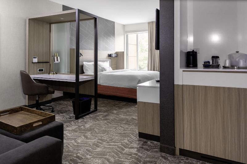 Springhill Suites By Marriott Suwanee Johns Creek image