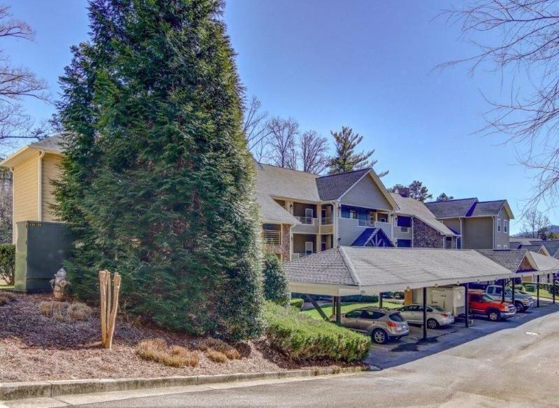 Kingwood Resort image