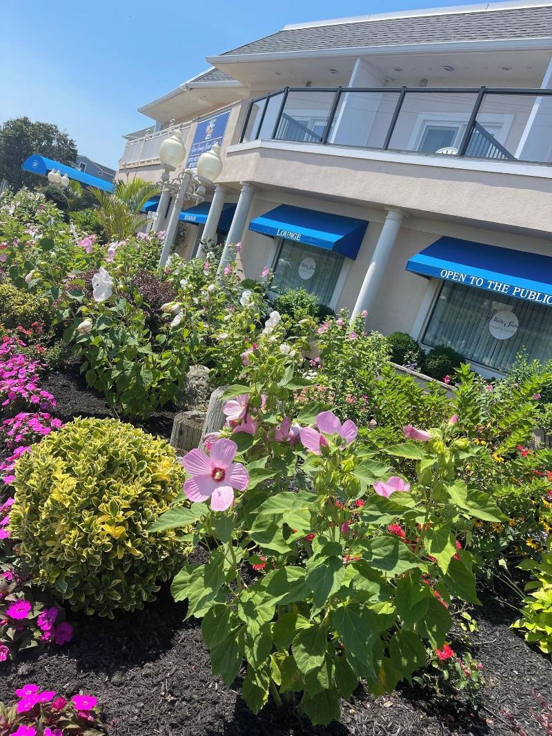The White Sands Oceanfront Resort & Spa image