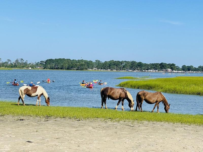 Snug Harbor Marina And Hotel