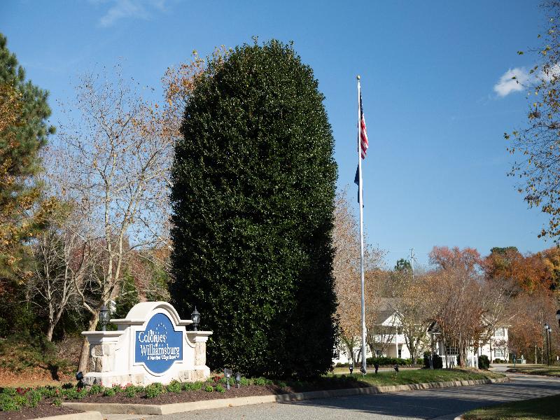 The Colonies At Williamsburg image