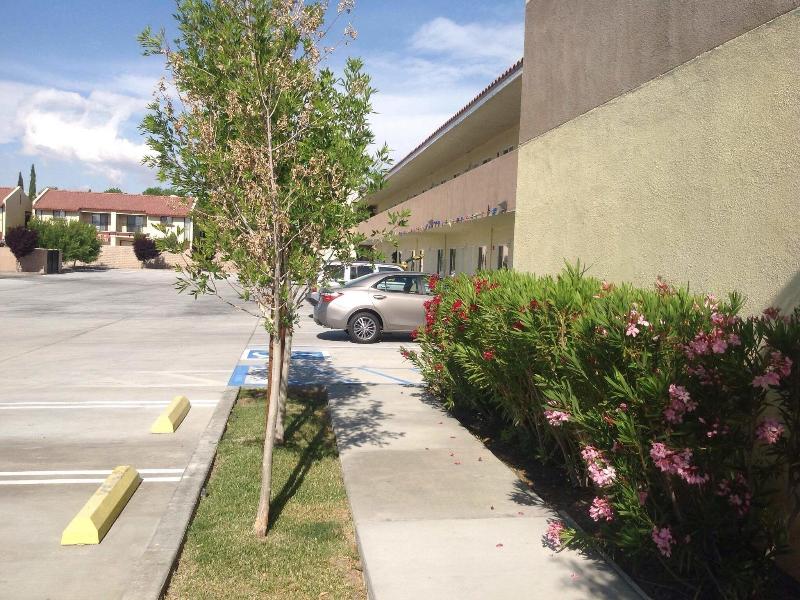 America Inn & Suites image