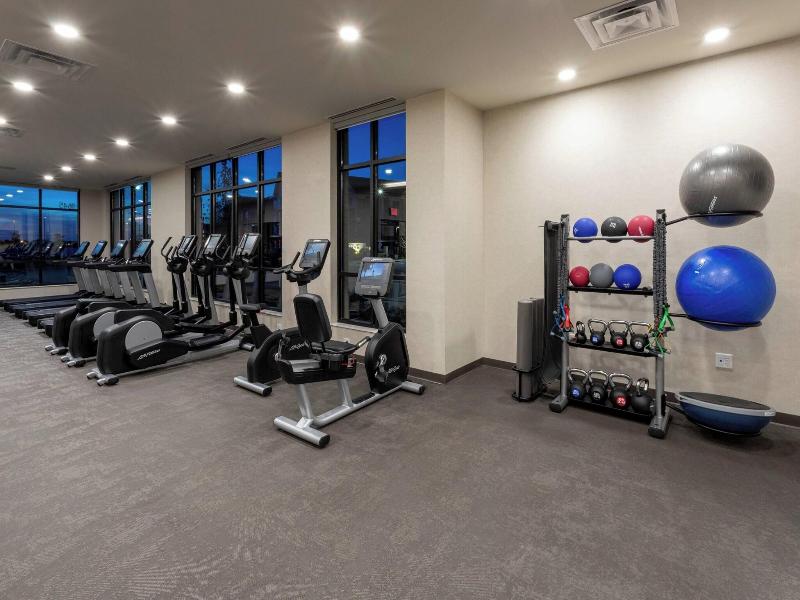 Springhill Suites By Marriott Minneapolis Maple Gr image