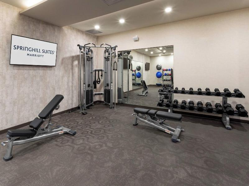 Springhill Suites By Marriott Minneapolis Maple Gr image