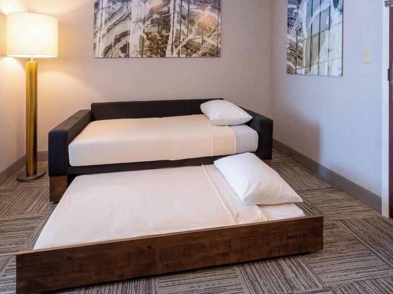 Springhill Suites By Marriott Minneapolis Maple Gr image