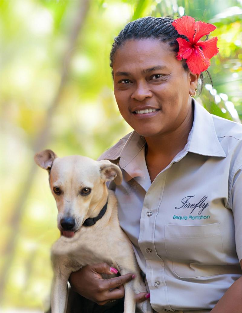 Firefly Plantation Bequia image