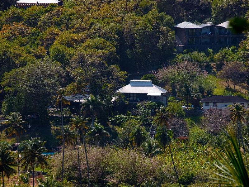 Firefly Plantation Bequia image