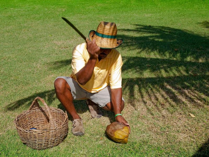 Firefly Plantation Bequia image