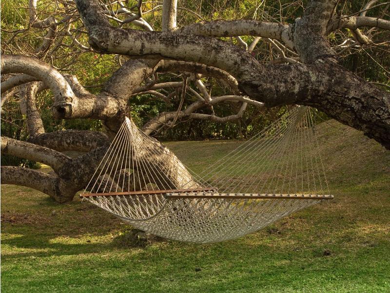 Firefly Plantation Bequia image