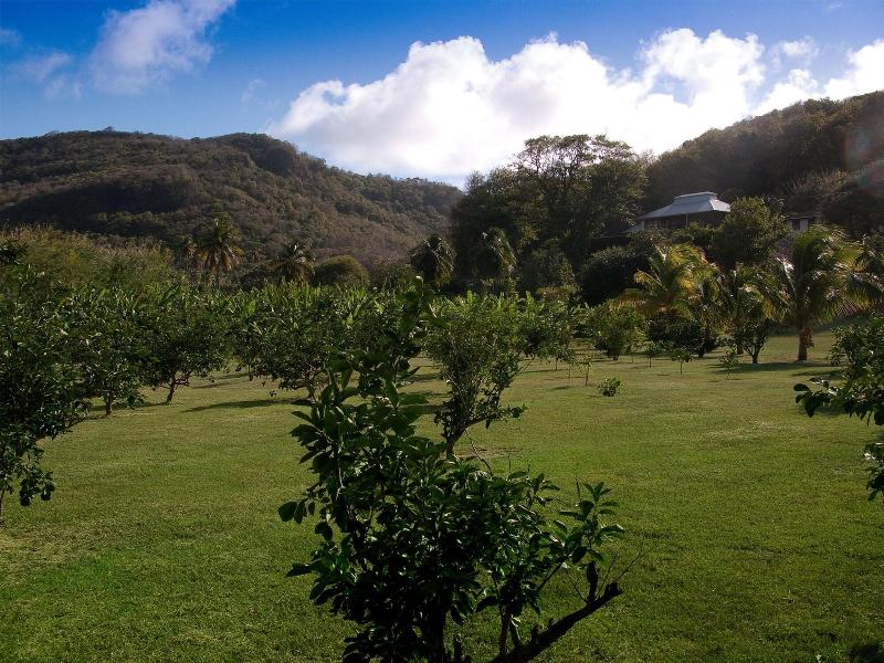 Firefly Plantation Bequia image