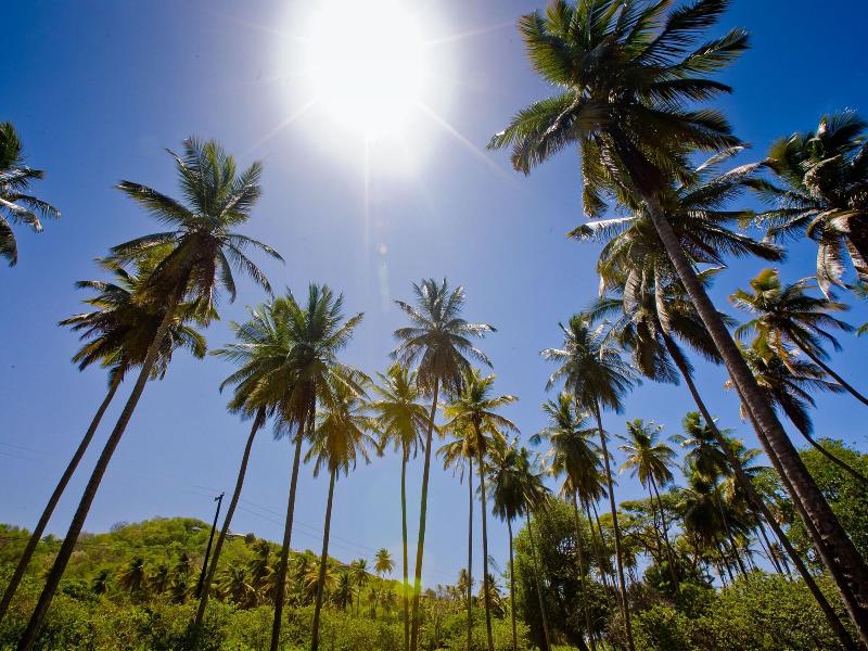 Firefly Plantation Bequia image