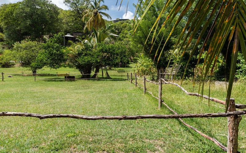 Firefly Plantation Bequia image