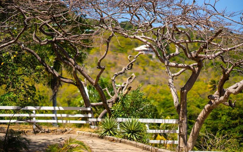 Firefly Plantation Bequia image