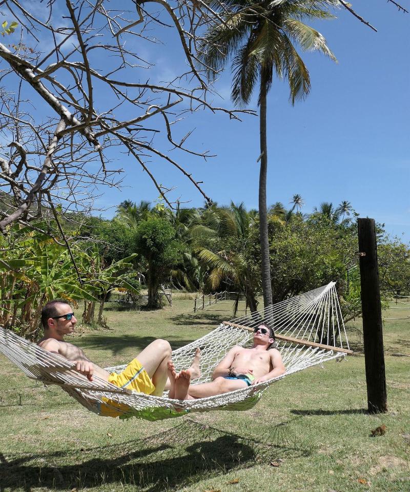 Firefly Plantation Bequia image