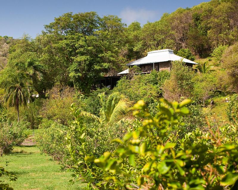 Firefly Plantation Bequia image