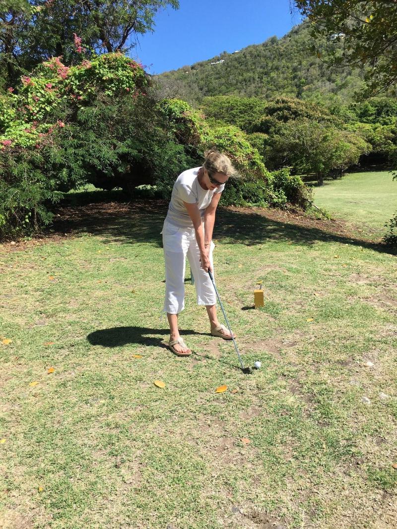 Firefly Plantation Bequia image