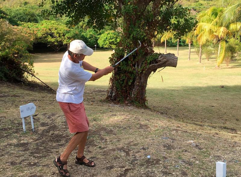 Firefly Plantation Bequia image