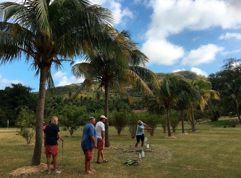 Firefly Plantation Bequia image