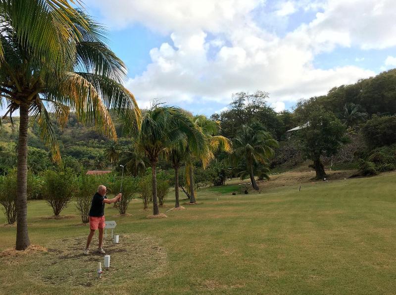 Firefly Plantation Bequia image