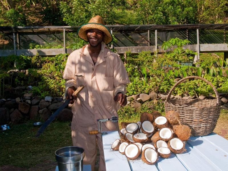 Firefly Plantation Bequia image