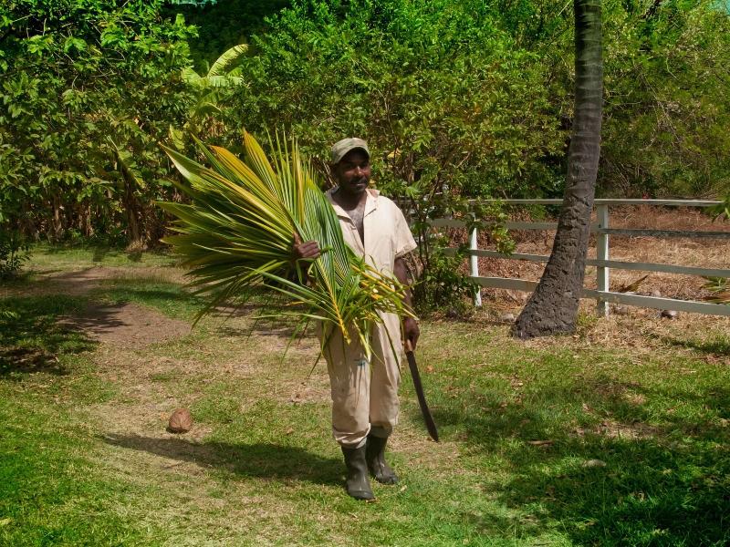 Firefly Plantation Bequia image