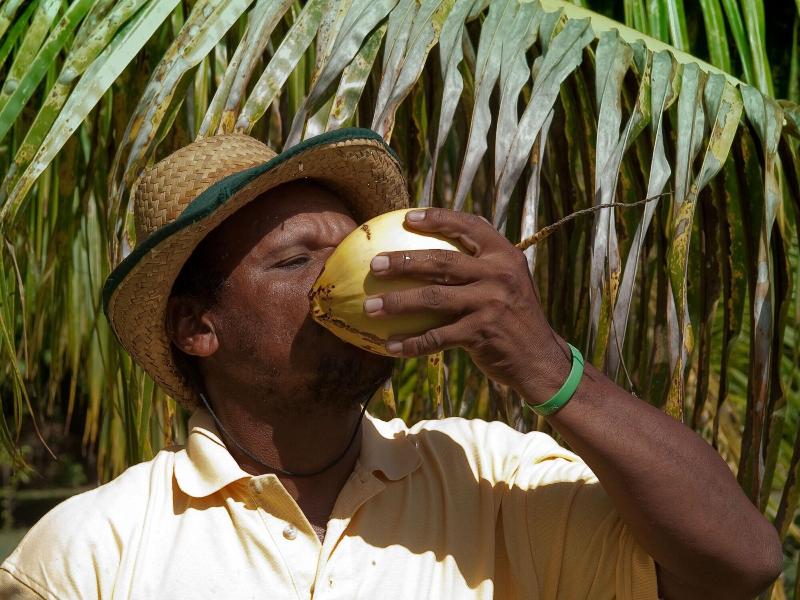 Firefly Plantation Bequia image
