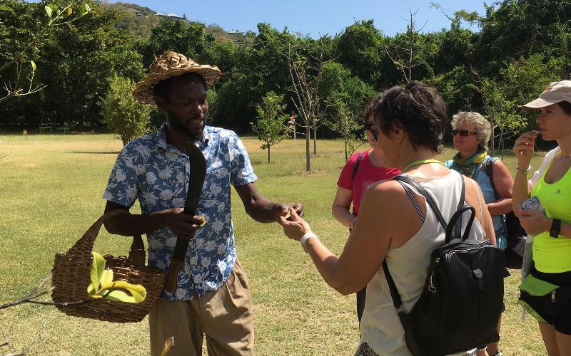 Firefly Plantation Bequia image
