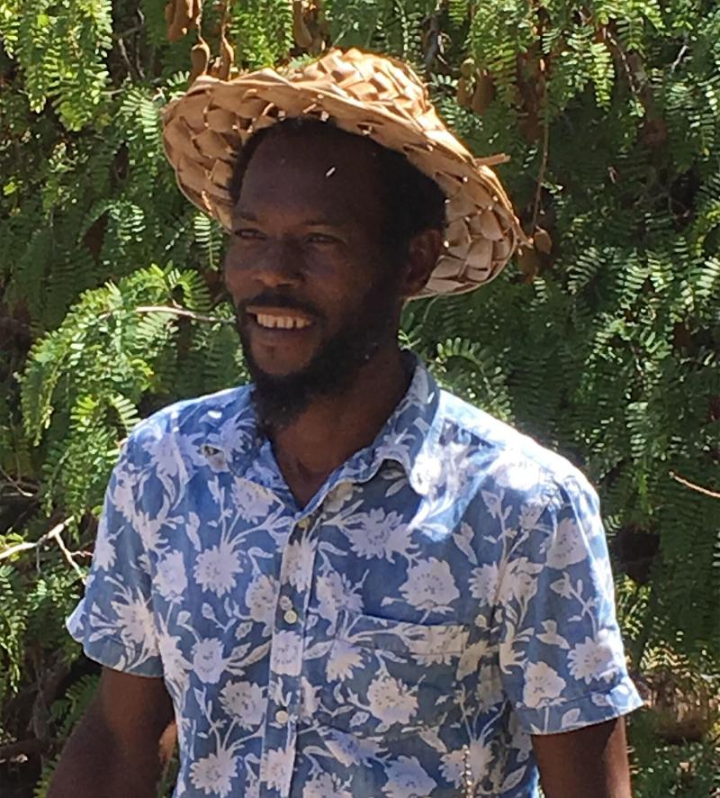 Firefly Plantation Bequia image