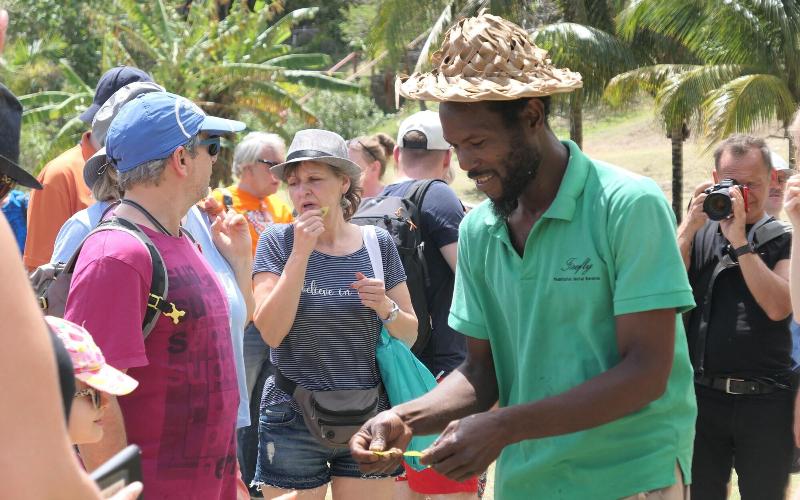 Firefly Plantation Bequia image