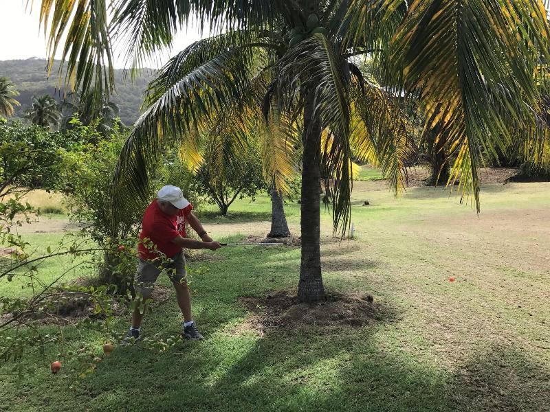 Firefly Plantation Bequia image