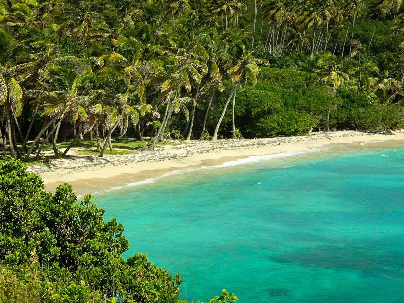Firefly Plantation Bequia image