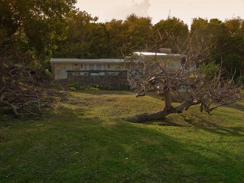 Firefly Plantation Bequia image