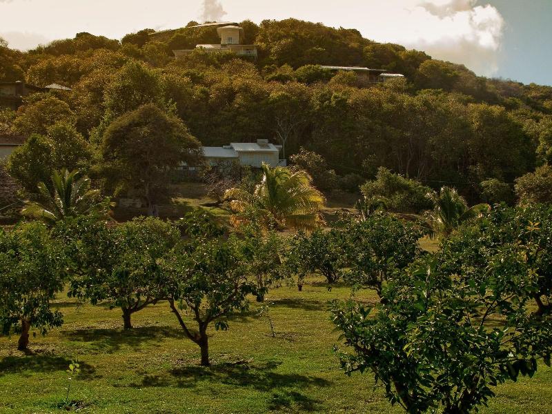Firefly Plantation Bequia image
