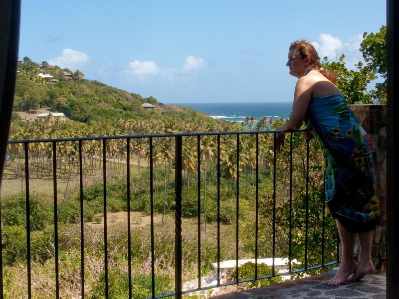 Firefly Plantation Bequia image