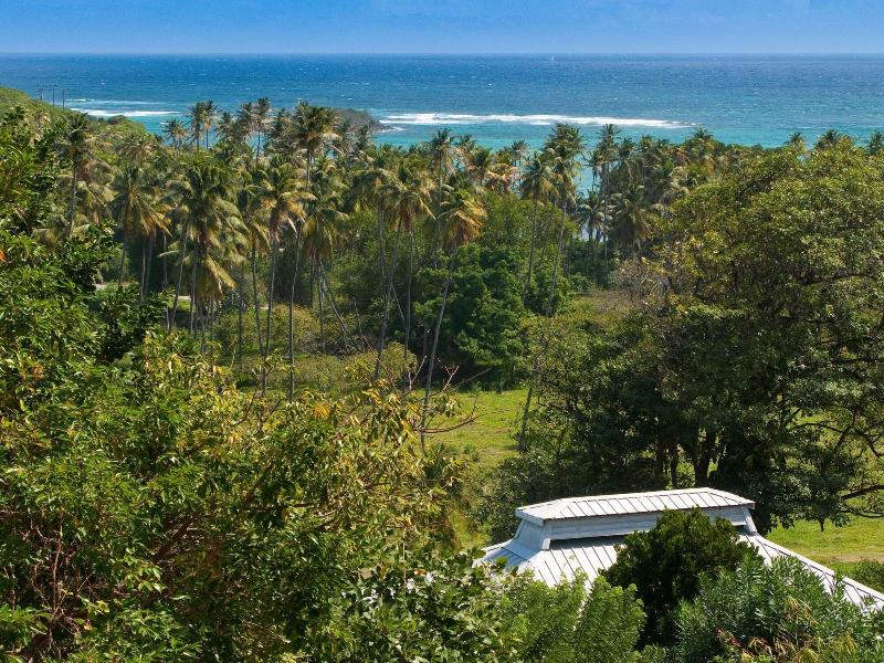 Firefly Plantation Bequia image