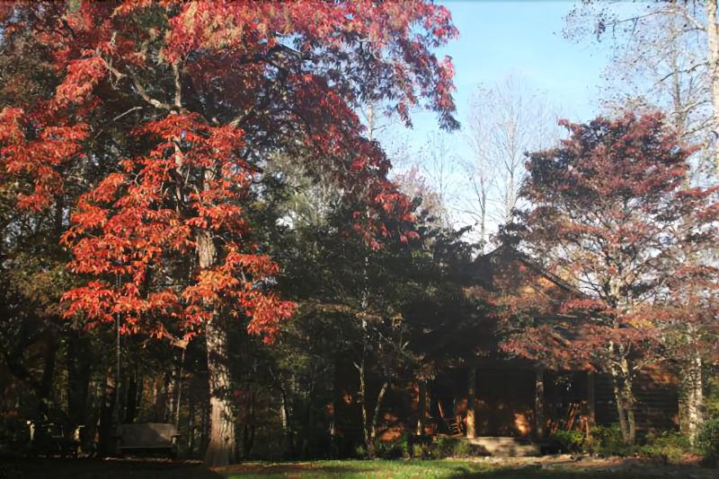 Dancing Bear Lodge image