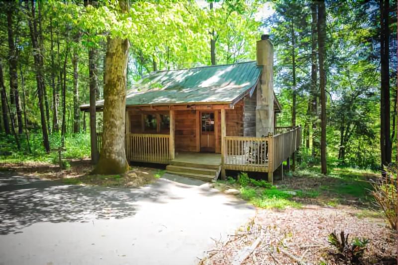 Dancing Bear Lodge image