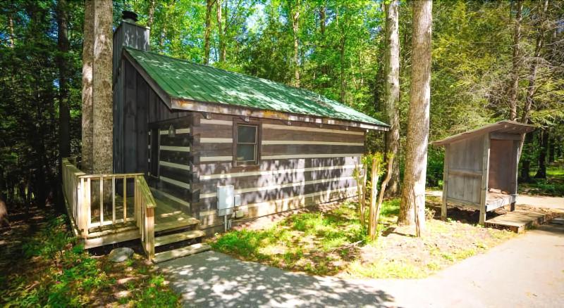 Dancing Bear Lodge image