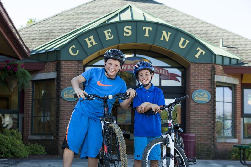 Chestnut Mountain Resort image