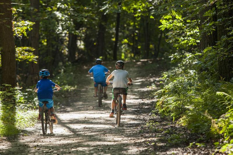 Chestnut Mountain Resort image