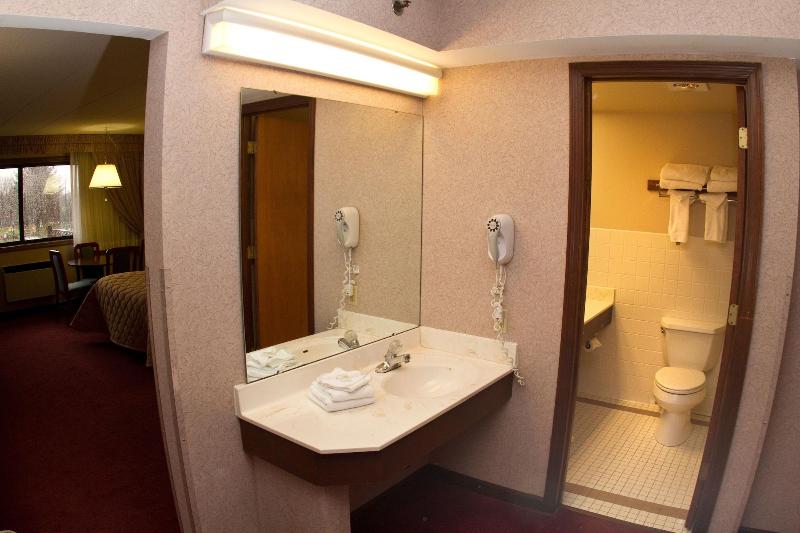 Chestnut Mountain Resort image