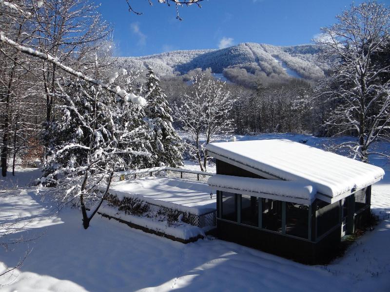 Blue Gentian Lodge At Magic Mountain image